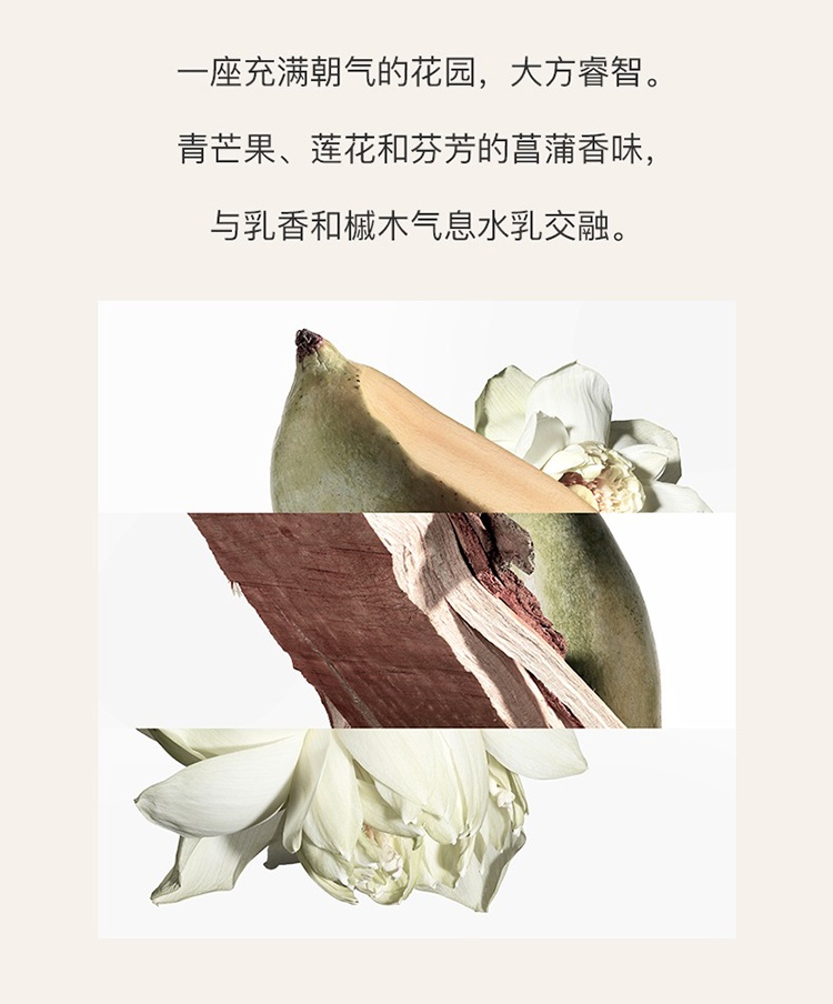 a5e21a50-6a98-4686-8e7f-081ef67ab35a.jpg