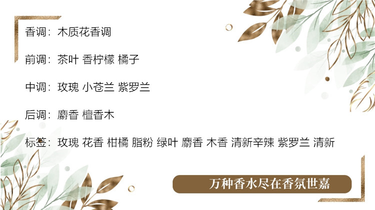 玫瑰古龙.jpg