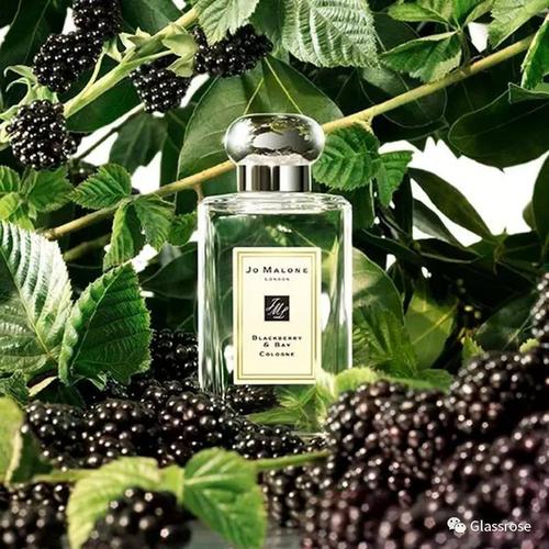 祖玛珑 黑莓与月桂叶女士香水小样 Jo Malone Blackberry & Bay