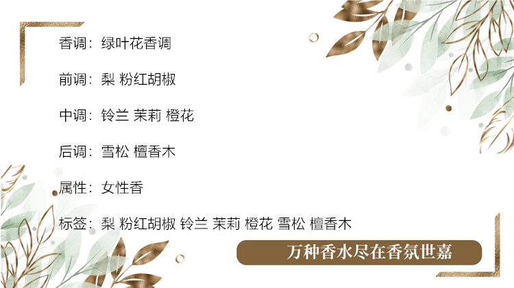 和风茉莉.jpg