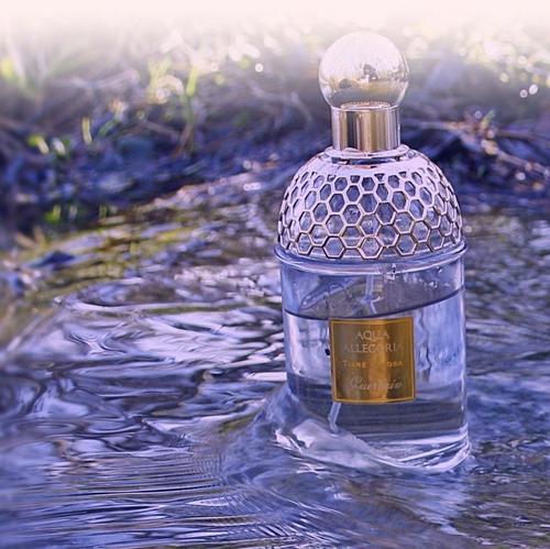 娇兰花草水语栀子含羞草女士香水小样 Guerlain Aqua Allegoria Tiare Mimosa