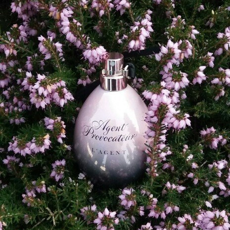 密使 密使女士香水小样 Agent Provocateur L'Agent