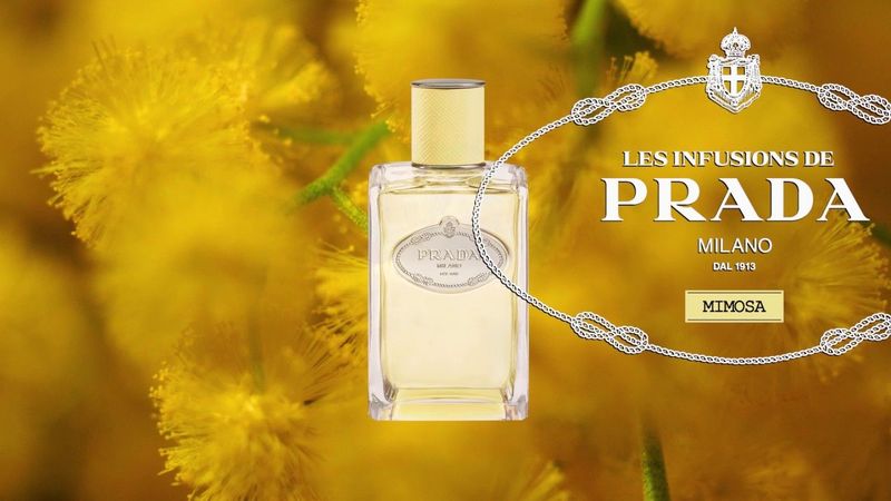 prada-infusion-de-mimosa-foto3.jpg