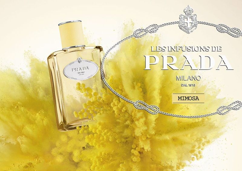 prada-infusion-de-mimosa-foto2.jpg