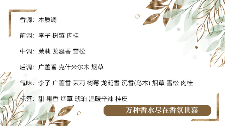 熊.jpg