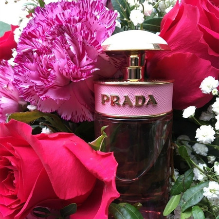 普拉达 花花小姐（花漾糖果）女士香水小样 Prada Candy Florale，EDT