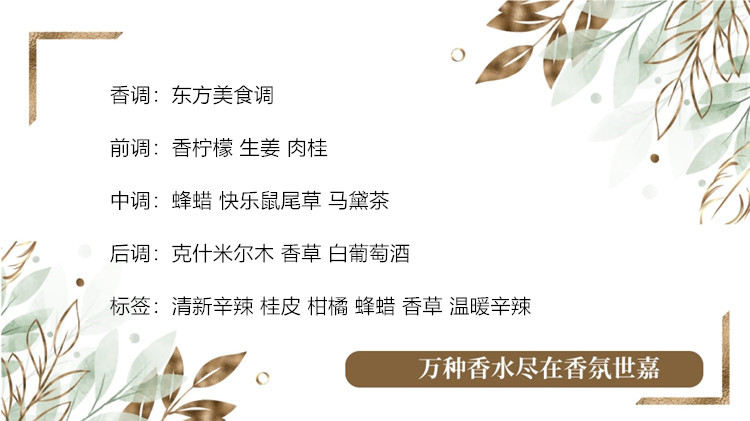 猫头鹰.jpg