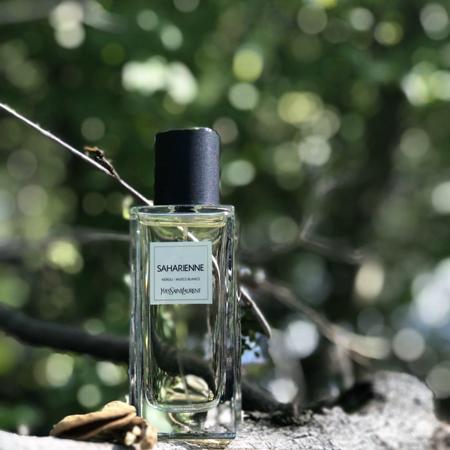 *圣罗兰 狩猎装中性香水小样 YSL Yves Saint Laurent Saharienne