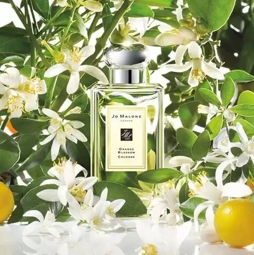 【小样】祖玛珑英国梨与小苍兰女士香水小样 Jo Malone English Pear & Freesia