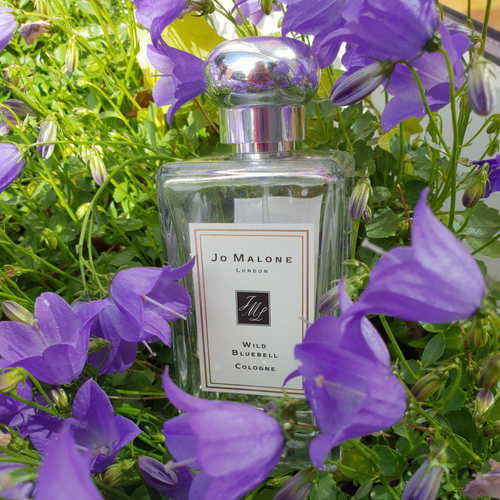 祖玛珑 蓝色风铃草女士香水小样 Jo Malone Wild Bluebell